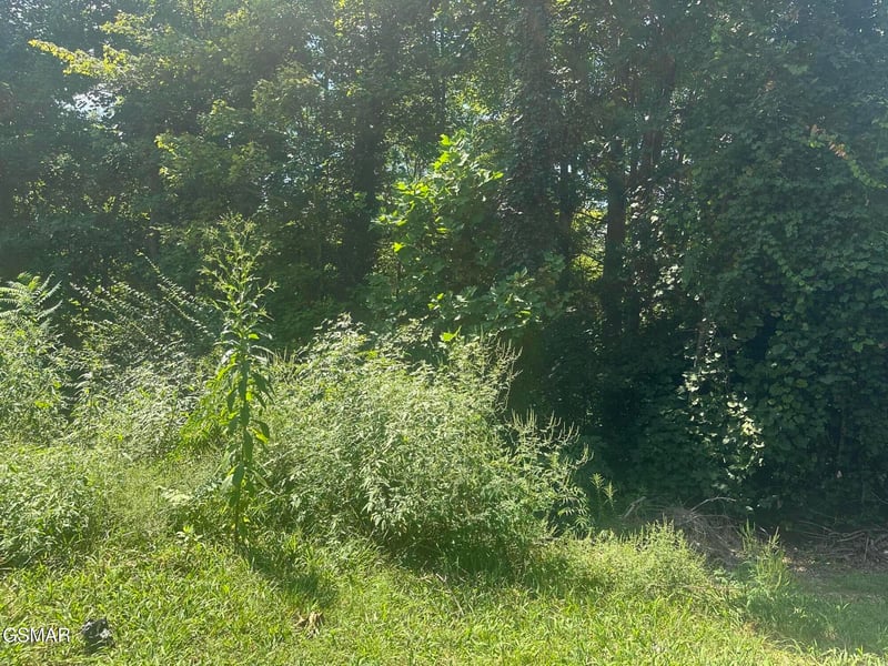 1921 Battle Top Rd Lot 665, Sevierville, TN 37876