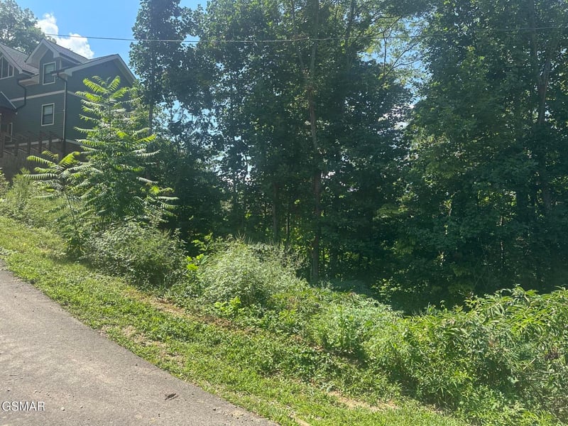 1921 Battle Top Rd Lot 665, Sevierville, TN 37876