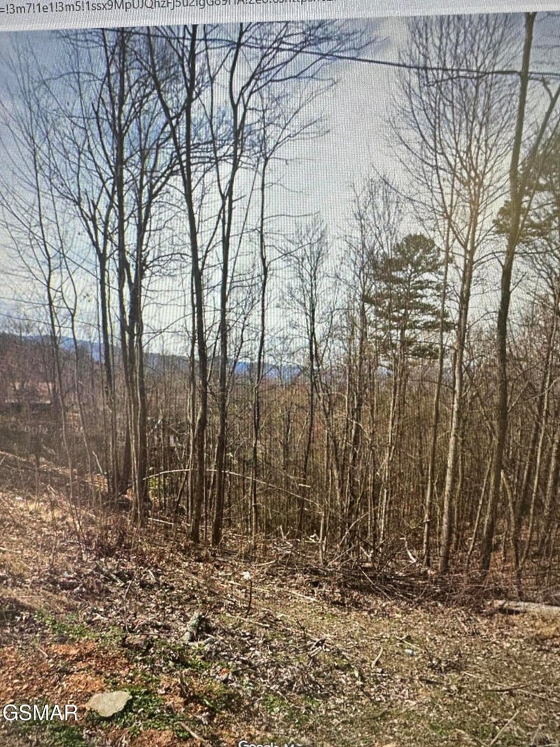 1921 Battle Top Rd Lot 665, Sevierville, TN 37876