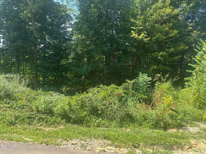 1921 Battle Top Rd Lot 665, Sevierville, TN 37876