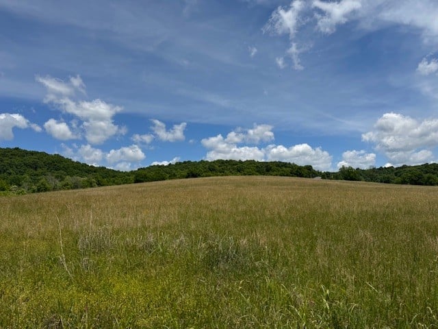 167 Plunkett Creek Rd, Gordonsville, TN 38563