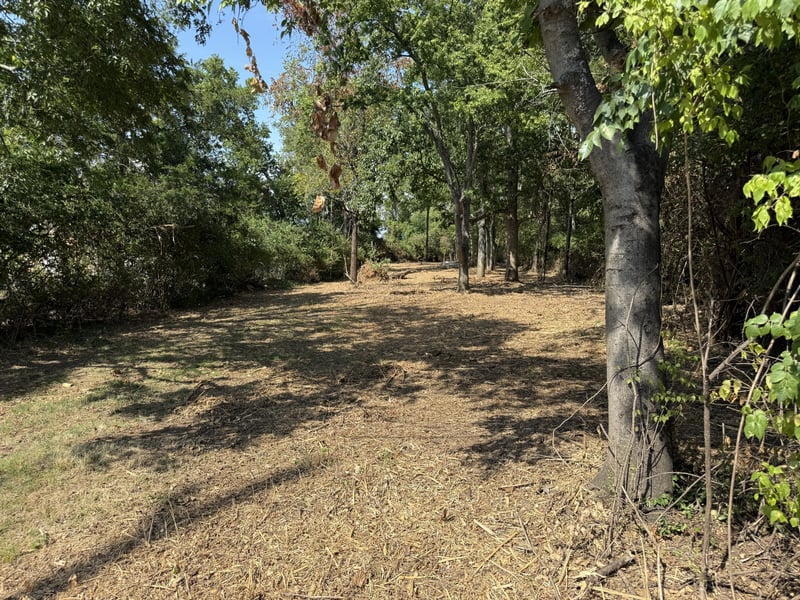 319 Sarver Ave, Madison, TN 37115