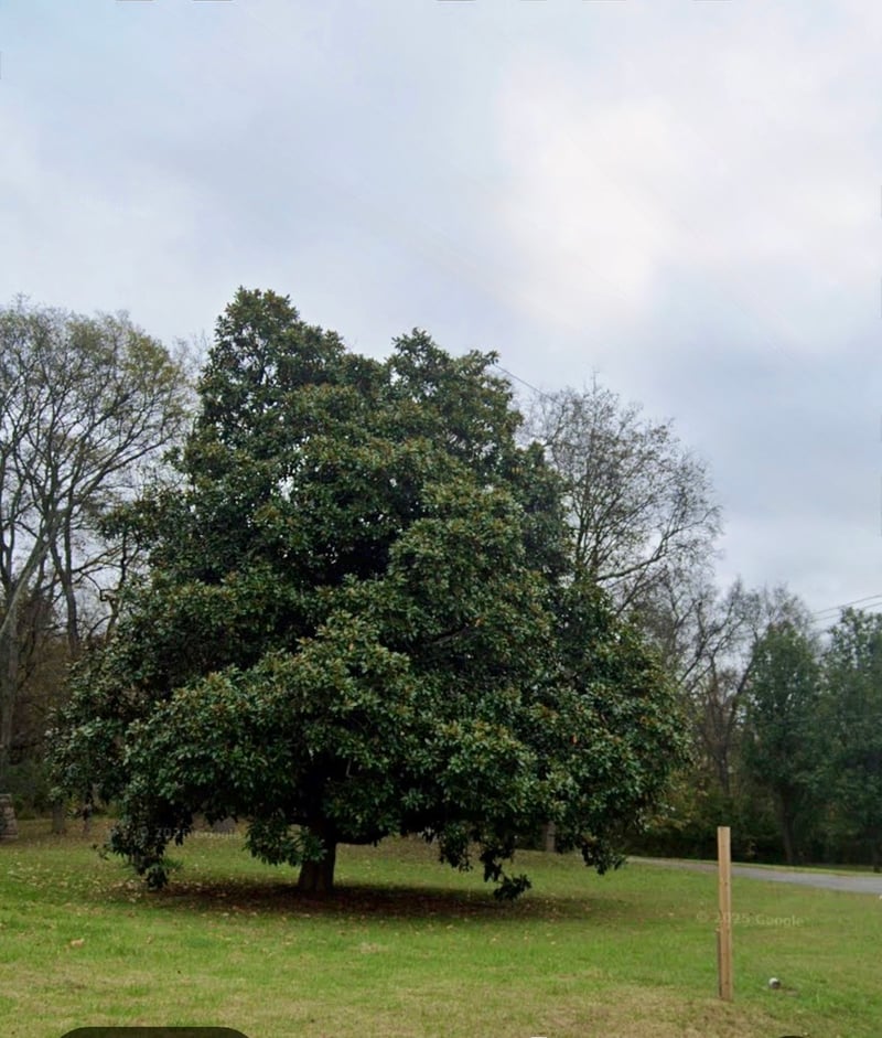 0 Old Hickory Blvd, Old Hickory, TN 37138