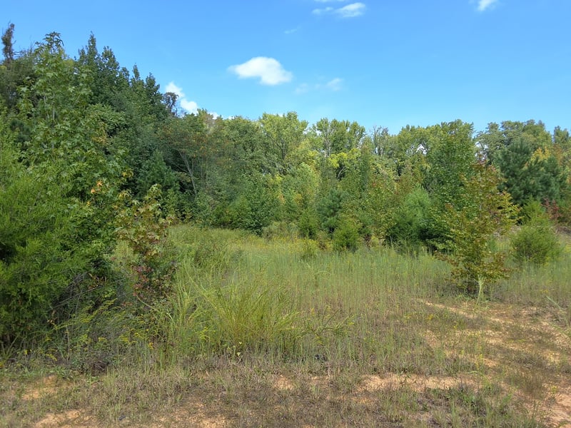 4675 Benders Ferry Rd, Mount Juliet, TN 37122