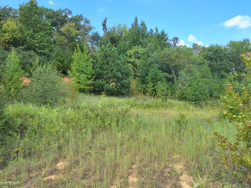 4675 Benders Ferry Rd, Mount Juliet, TN 37122