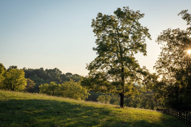 8005 Dry Creek Rd, Mount Pleasant, TN 38474