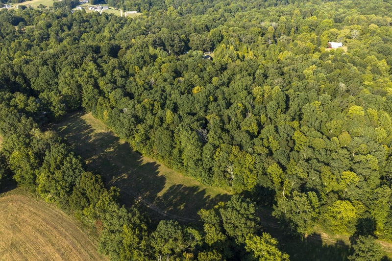 0 Matlock Rd Lot 1, Charlotte, TN 37036