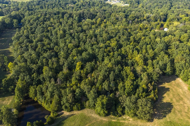 0 Matlock Rd, Charlotte, TN 37036