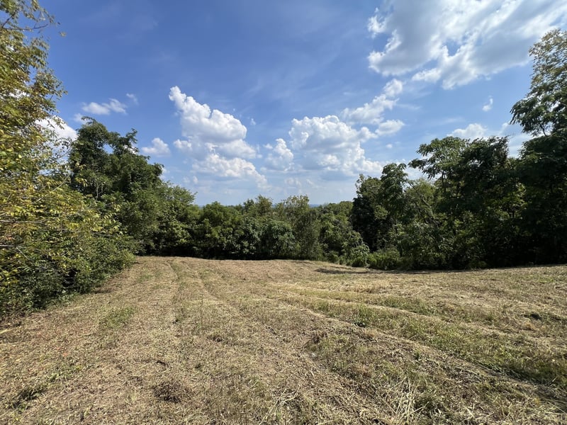 309 Bethlehem Rd Lot 7, Lebanon, TN 37087