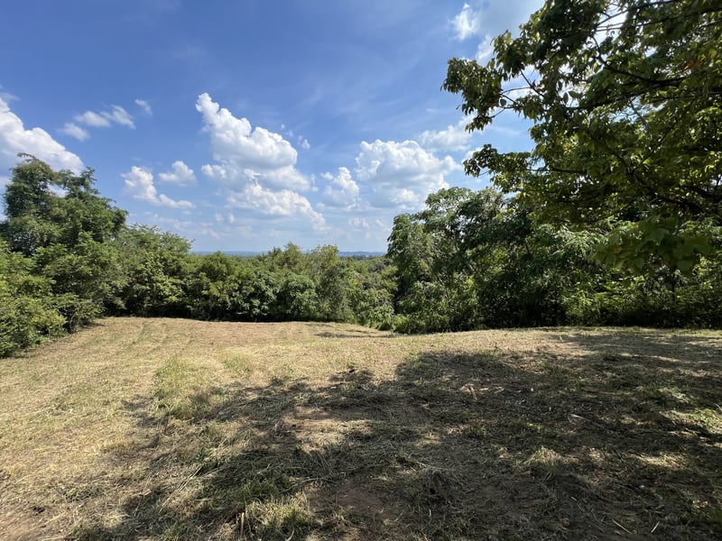 309 Bethlehem Rd Lot 7, Lebanon, TN 37087