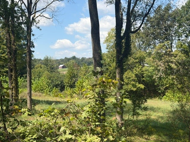 0 Stayton Rd, Cumberland Furnace, TN 37051