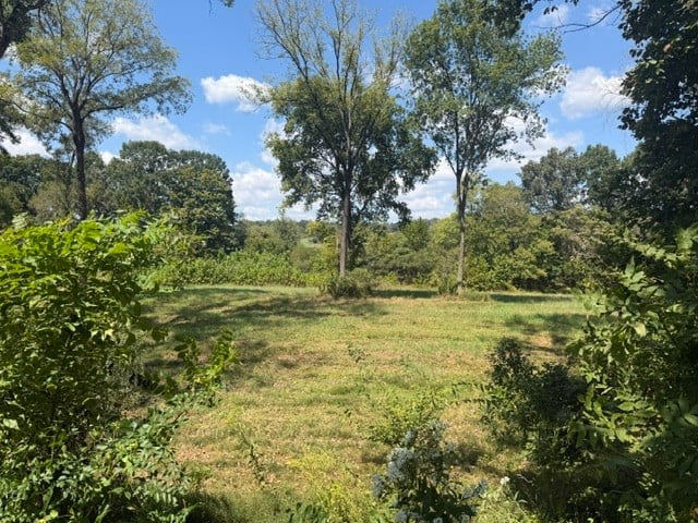 0 Stayton Rd, Cumberland Furnace, TN 37051