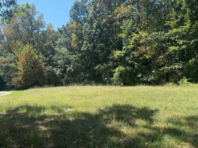 0 Vanleer Hwy, Charlotte, TN 37036