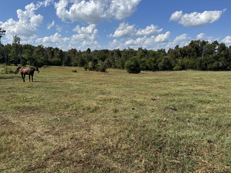 0 Joe Brown Rd Lot TR 1, Spring Hill, TN 37174