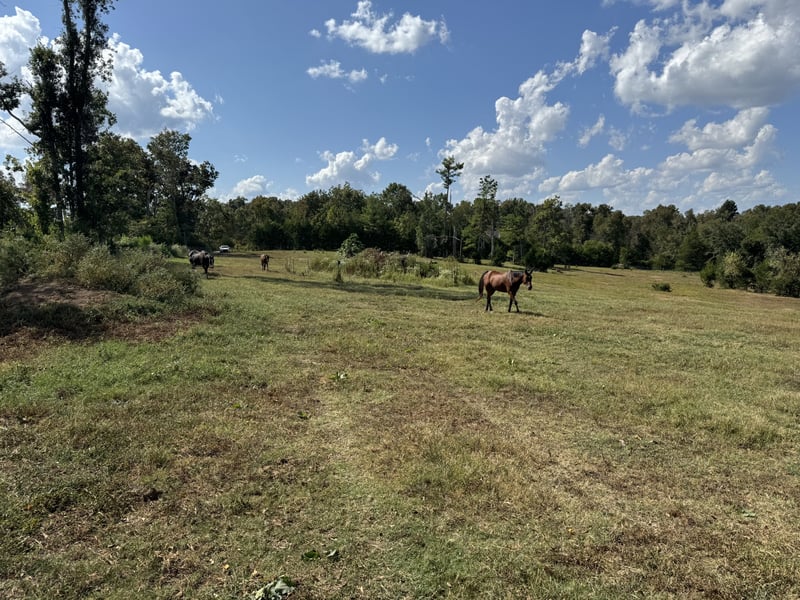 0 Joe Brown Rd Lot TR 1, Spring Hill, TN 37174