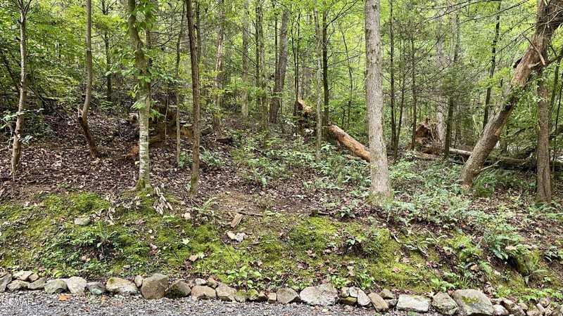 28 Walden Cove Way Lot 28, Sevierville, TN 37862
