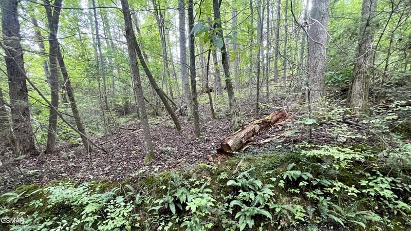 28 Walden Cove Way Lot 28, Sevierville, TN 37862