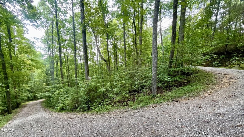 28 Walden Cove Way Lot 28, Sevierville, TN 37862