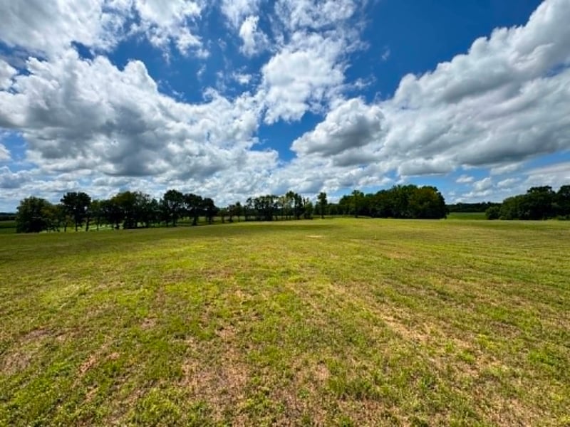 0 Ben Armstrong Rd Lot 5, Castalian Springs, TN 37031