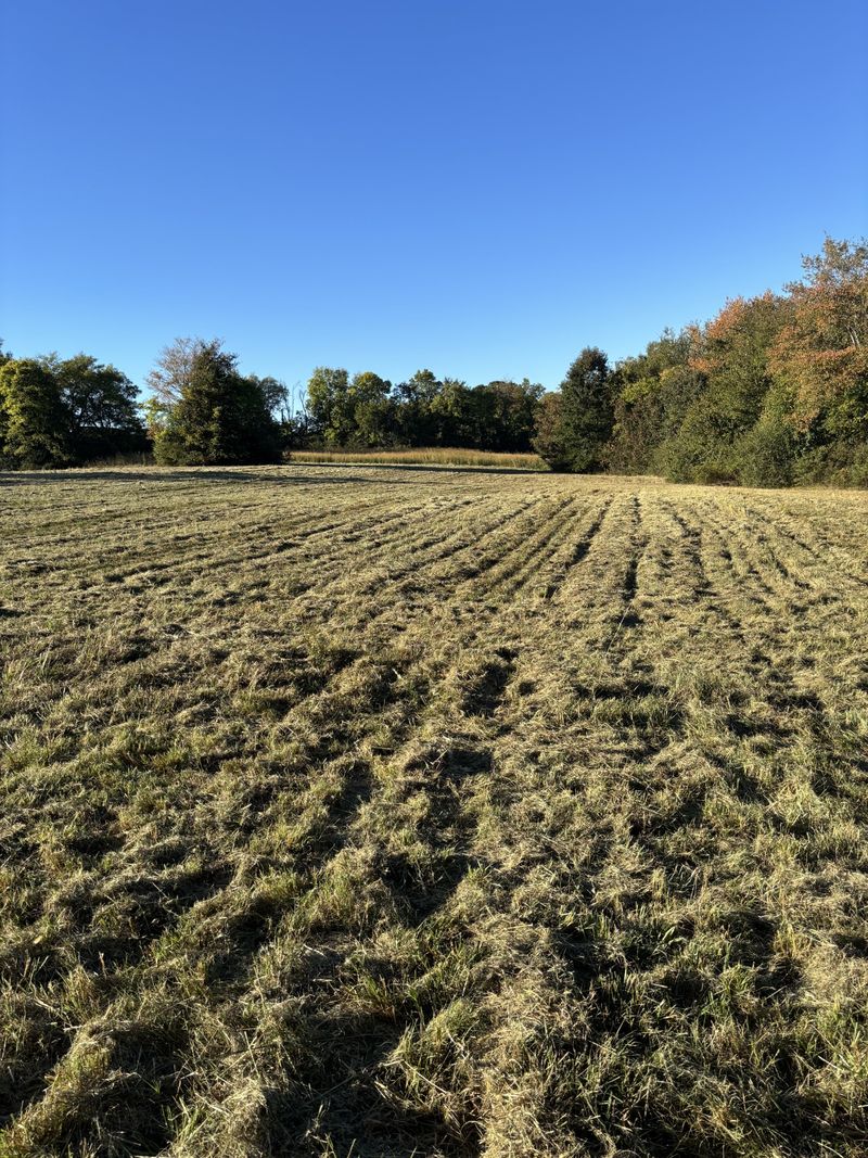 422 Beechcroft Rd, Spring Hill, TN 37174