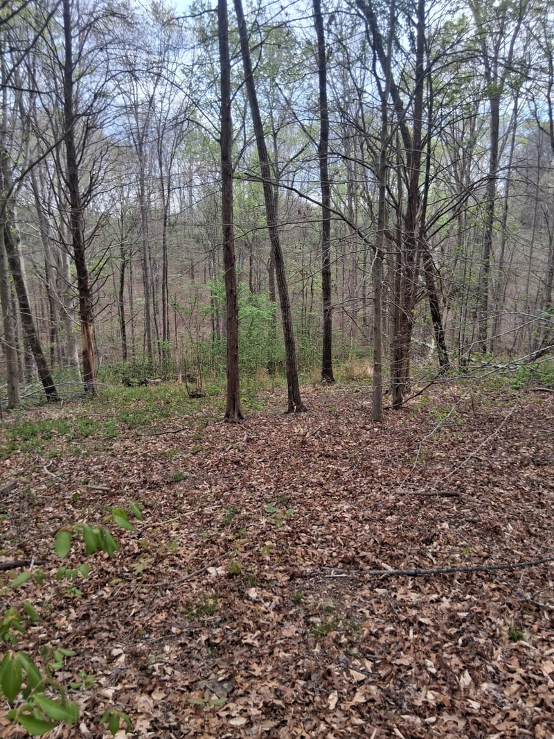 0 W Garrets Creek Rd, Westmoreland, TN 37186