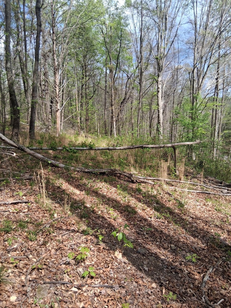 0 W Garrets Creek Rd, Westmoreland, TN 37186