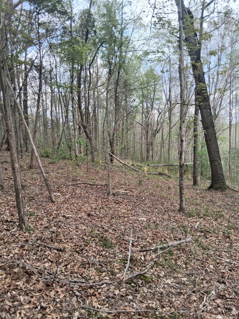 0 W Garrets Creek Rd, Westmoreland, TN 37186