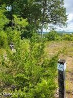 18 Bay View Point Lot 18, Sevierville, TN 37876