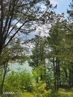 18 Bay View Point Lot 18, Sevierville, TN 37876