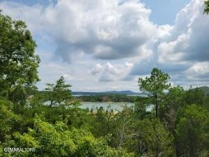 18 Bay View Point Lot 18, Sevierville, TN 37876