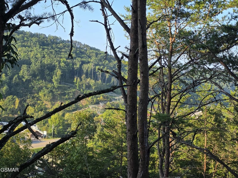 3004 Crestview Ct, Sevierville, TN 37862