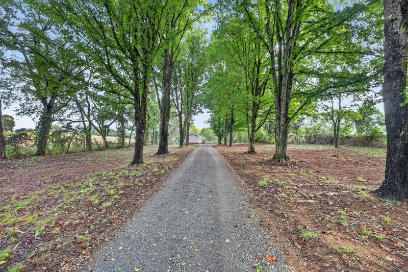 310 Carter Ln, Castalian Springs, TN 37031