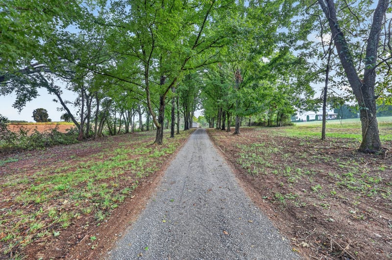 310 Carter Ln, Castalian Springs, TN 37031