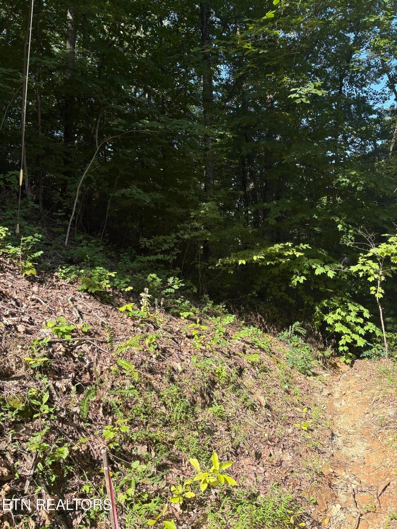 0 Castle Rise Way Lot 25&26&27, Sevierville, TN 37862