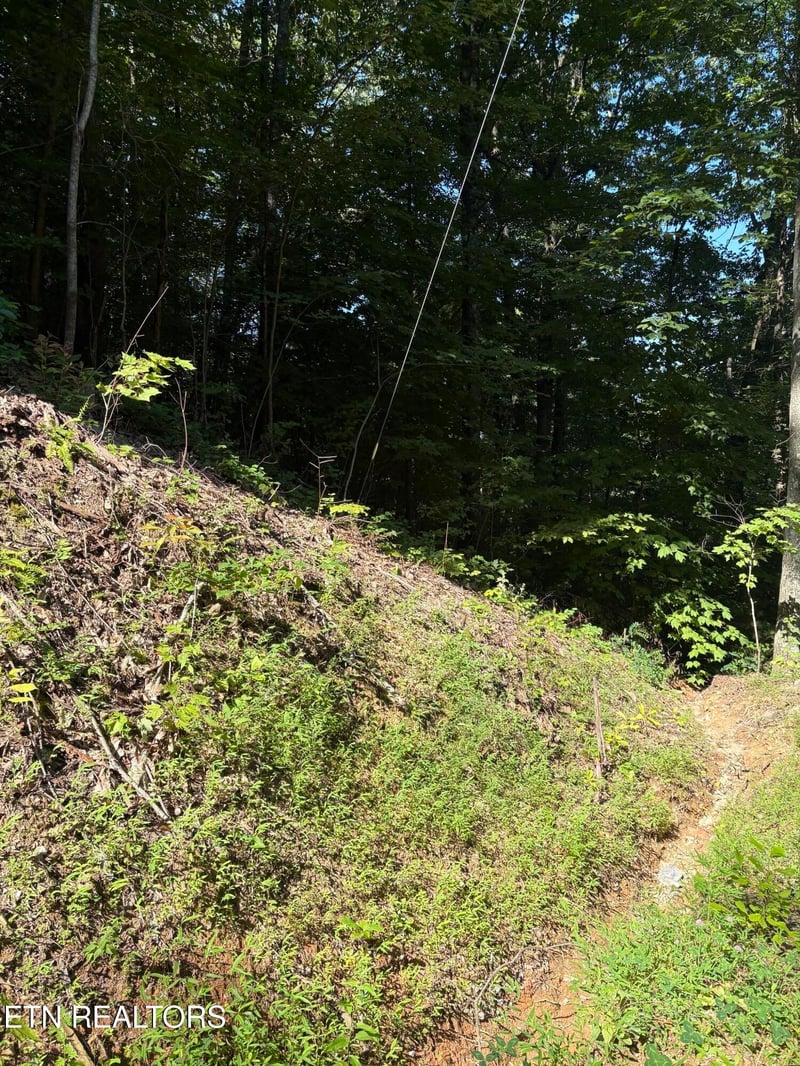 0 Castle Rise Way Lot 25&26&27, Sevierville, TN 37862