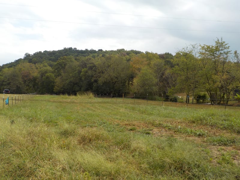 0 Rogues Fork Rd, Bethpage, TN 37022