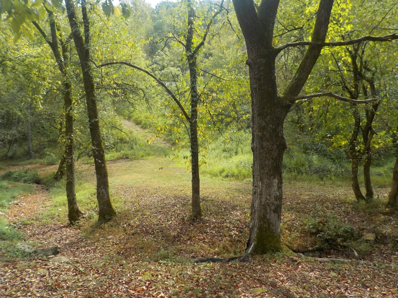 0 Rogues Fork Rd, Bethpage, TN 37022