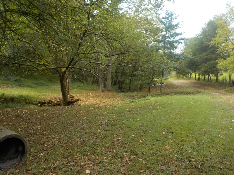 0 Rogues Fork Rd, Bethpage, TN 37022