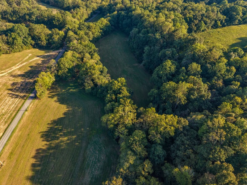 2 Shelter Branch, Charlotte, TN 37036