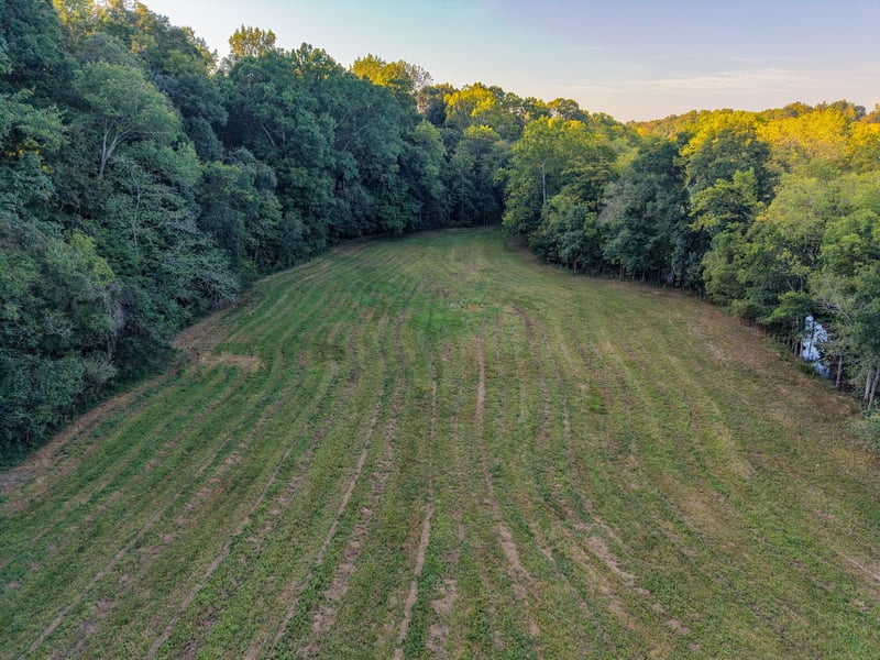 3 Shelter Branch, Charlotte, TN 37036