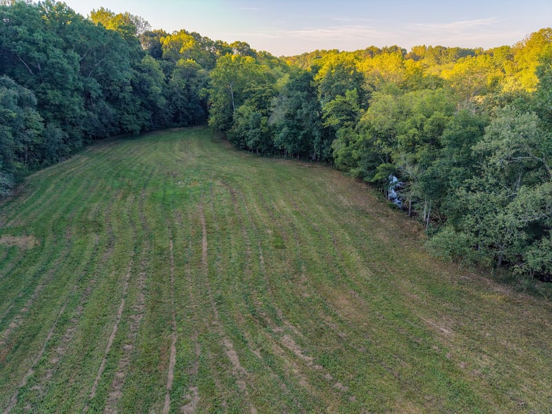 3 Shelter Branch, Charlotte, TN 37036