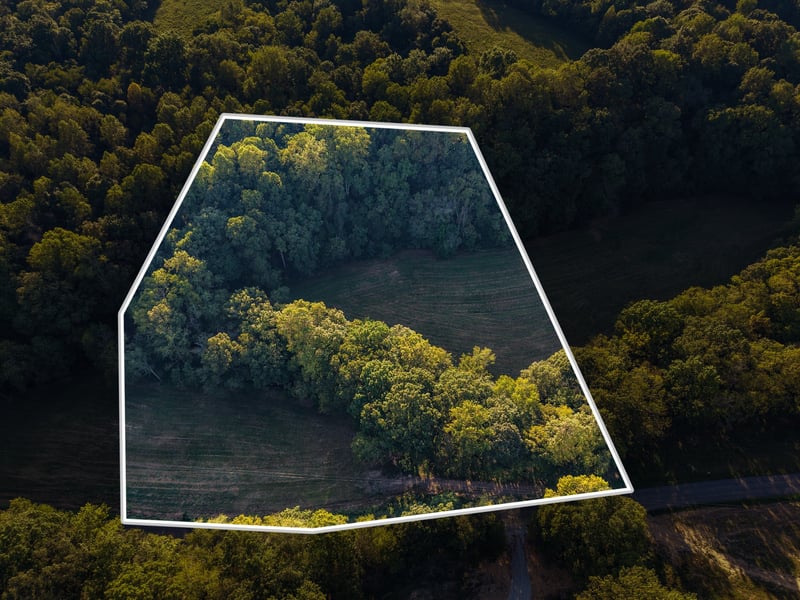 3 Shelter Branch, Charlotte, TN 37036