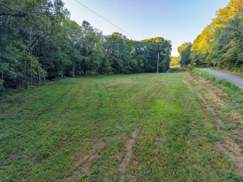 4 Shelter Branch, Charlotte, TN 37036