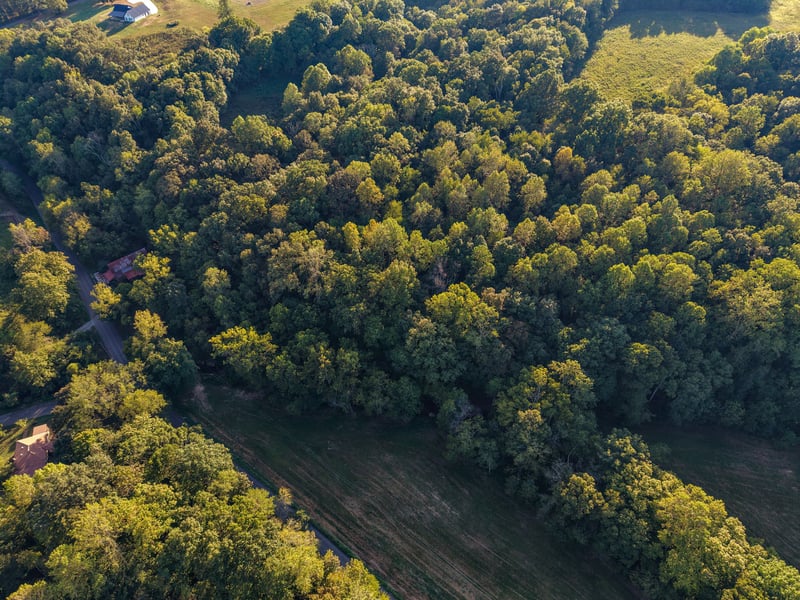 4 Shelter Branch, Charlotte, TN 37036