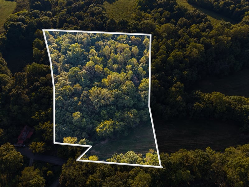 4 Shelter Branch, Charlotte, TN 37036
