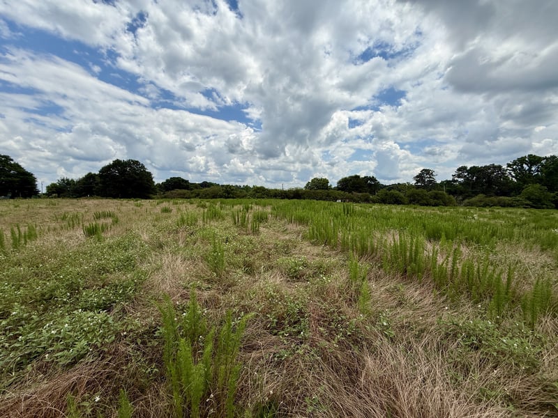 0 County Road 643, Hanceville, AL 35077
