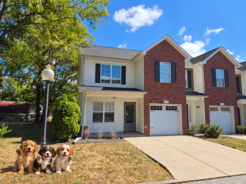 806 Bonneville Ln, Smyrna, TN 37167