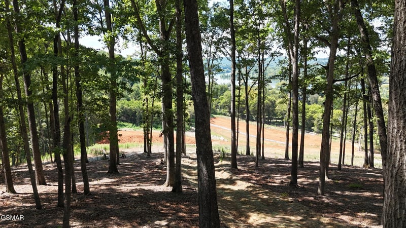 137 Eagles Crest Ct Lot 65, Loudon, TN 37774