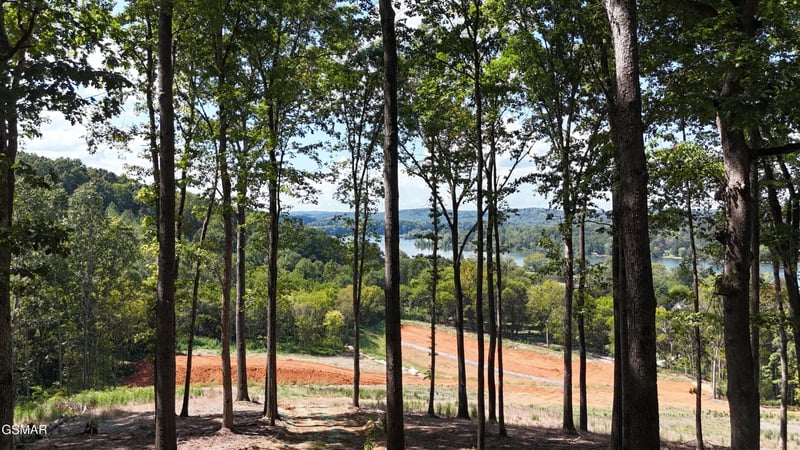 137 Eagles Crest Ct Lot 65, Loudon, TN 37774