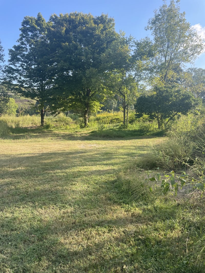 3782 Bear Creek Rd, Thompsons Station, TN 37179